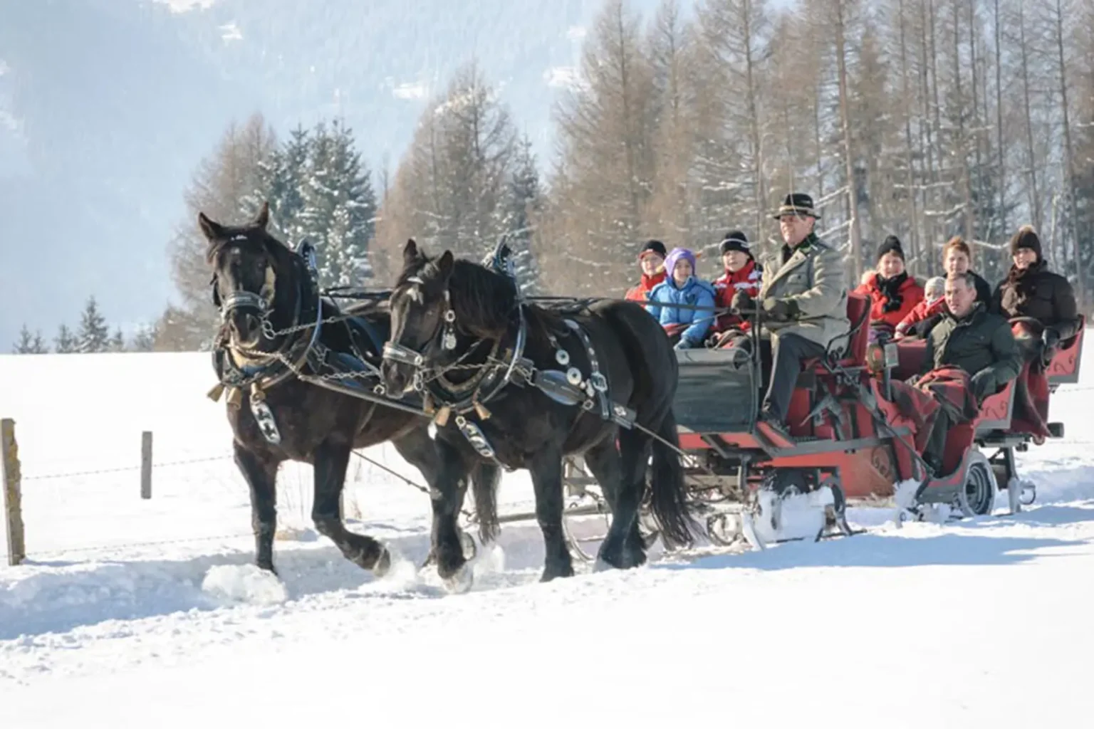 wastlwirt-winter-pferdeschlitten-1.jpg